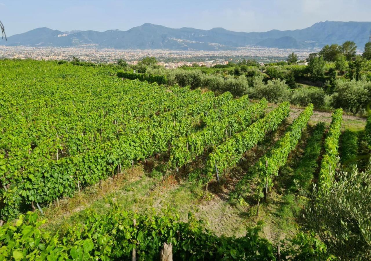 Vesuvio Inn Bed & Wine Experience Boscotrecase Exteriér fotografie