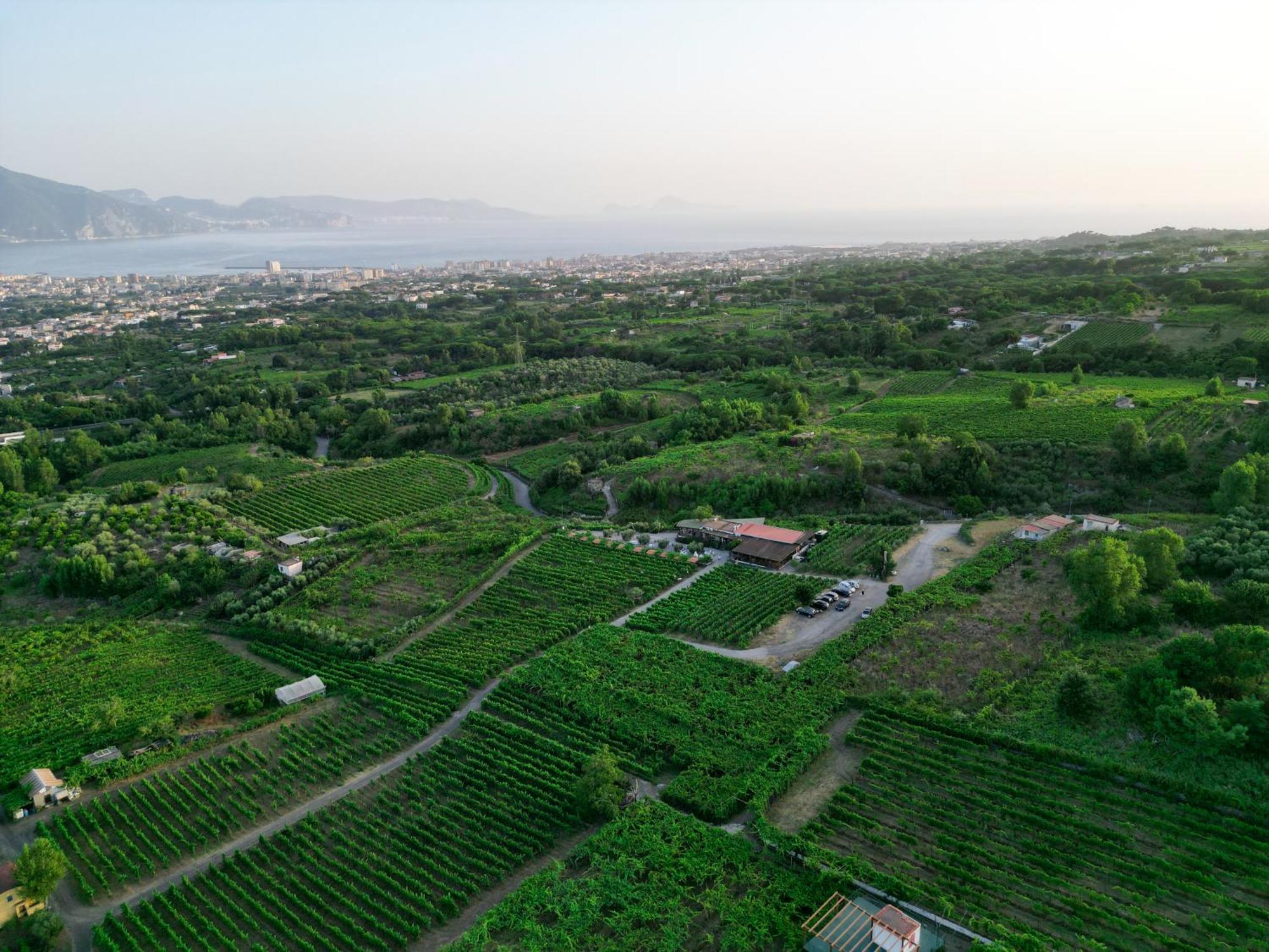 Vesuvio Inn Bed & Wine Experience Boscotrecase Exteriér fotografie